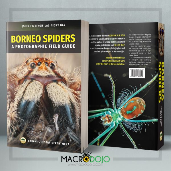 Borneo Spiders - A Photographic Field Guide (2019) - Image 2