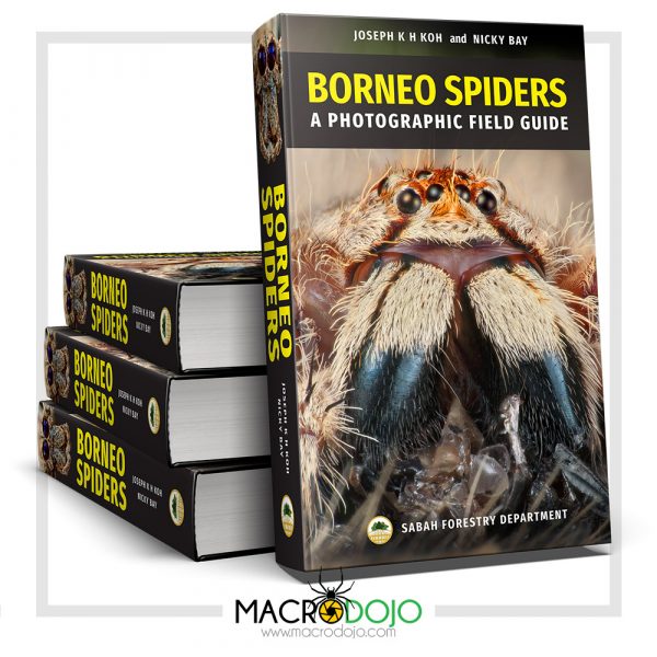 Borneo Spiders - A Photographic Field Guide (2019)