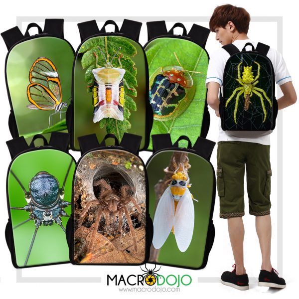 16" Backpack for School, Travel, Casual - Assorted Invertebrates