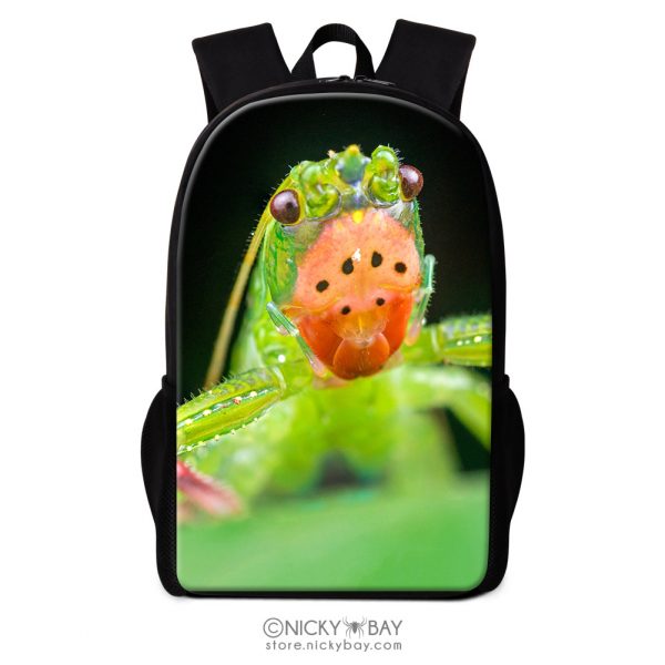 16" Backpack for School, Travel, Casual - Assorted Invertebrates - Image 18