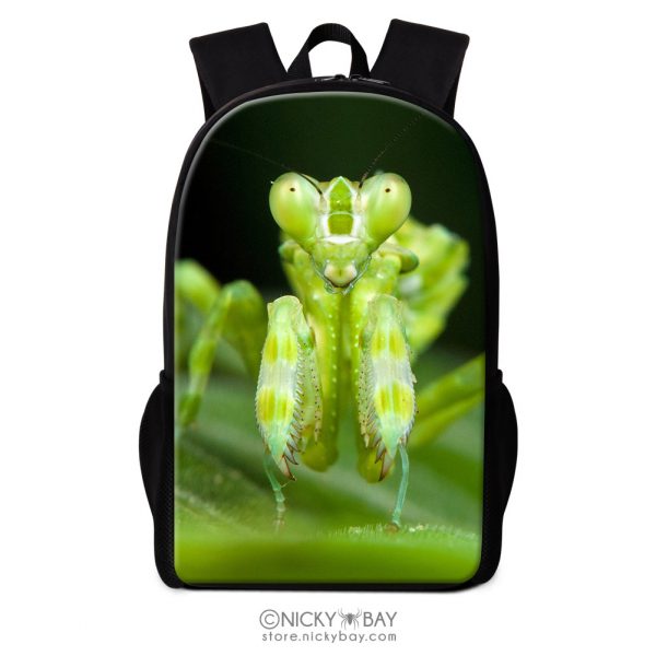 16" Backpack for School, Travel, Casual - Assorted Invertebrates - Image 13