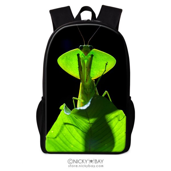 16" Backpack for School, Travel, Casual - Assorted Invertebrates - Image 12