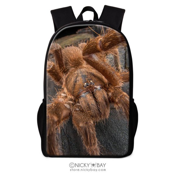 16" Backpack for School, Travel, Casual - Assorted Invertebrates - Image 26