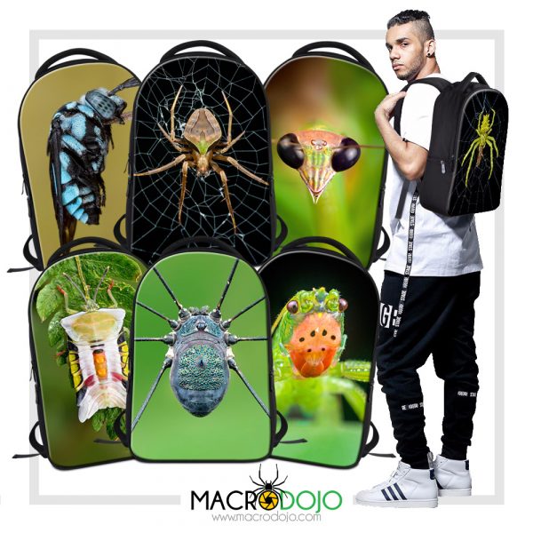 Laptop Backpack Bag - Assorted Invertebrates