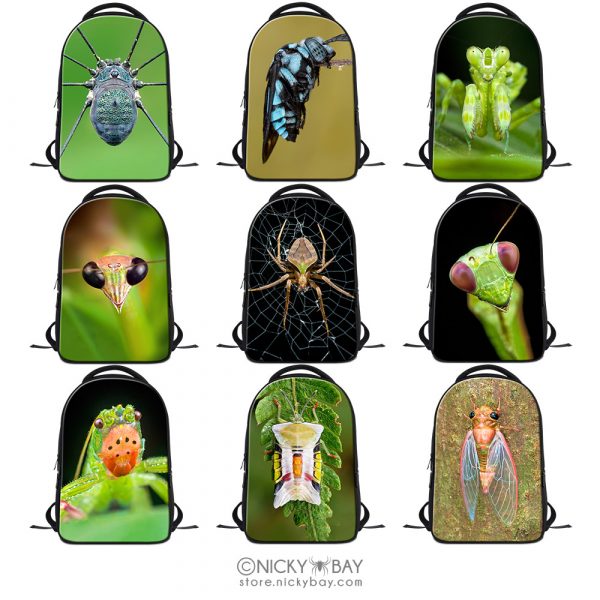 Laptop Backpack Bag - Assorted Invertebrates - Image 2
