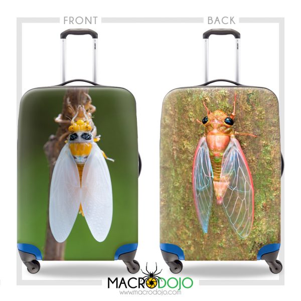 Luggage Cover Protector - Assorted Invertebrates - Image 6