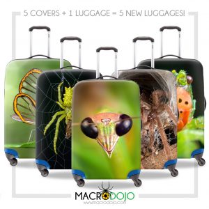 Luggage Cover Protector - Assorted Invertebrates