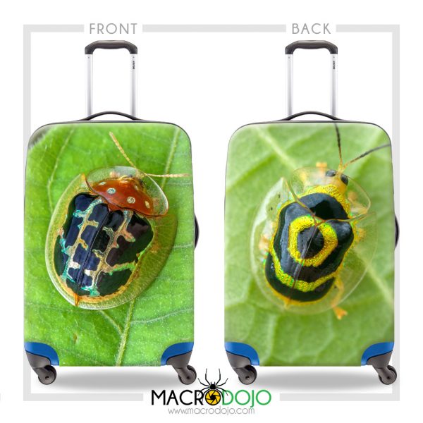 Luggage Cover Protector - Assorted Invertebrates - Image 9