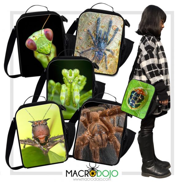 Lunch Thermal Cooler Insulated Bag - Assorted Invertebrates - Image 2