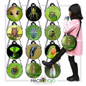 Children Round Mini School Backpack for Kids - Assorted Invertebrates