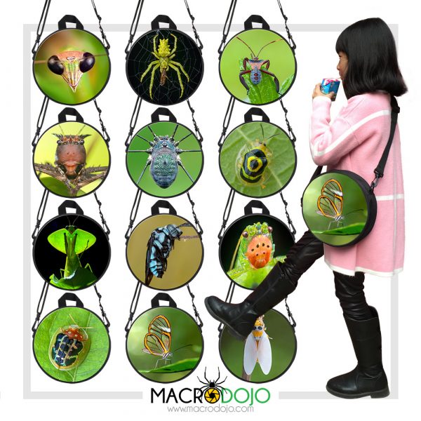 Children Round Mini School Backpack for Kids - Assorted Invertebrates