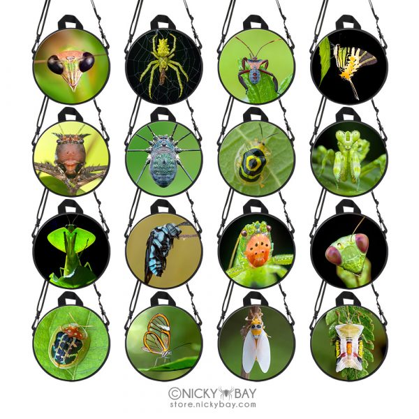 Children Round Mini School Backpack for Kids - Assorted Invertebrates - Image 2