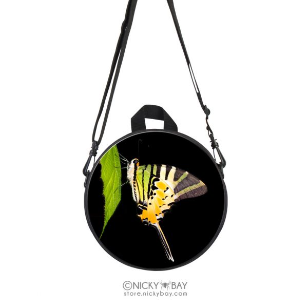 Children Round Mini School Backpack for Kids - Assorted Invertebrates - Image 26