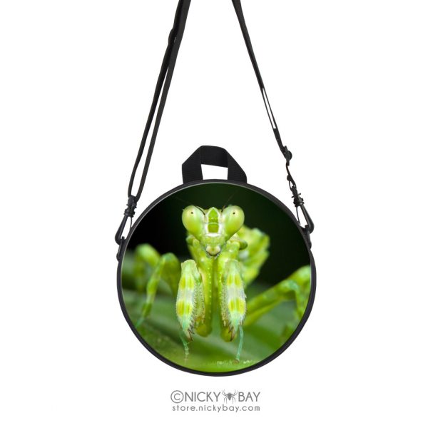 Children Round Mini School Backpack for Kids - Assorted Invertebrates - Image 11