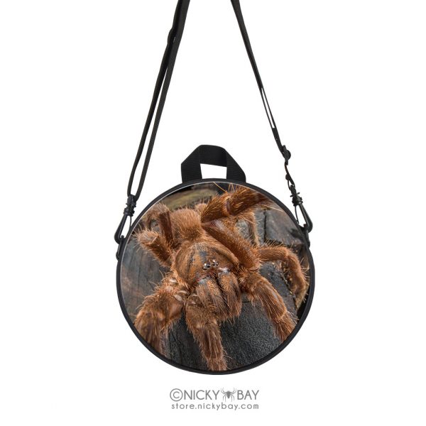 Children Round Mini School Backpack for Kids - Assorted Invertebrates - Image 22