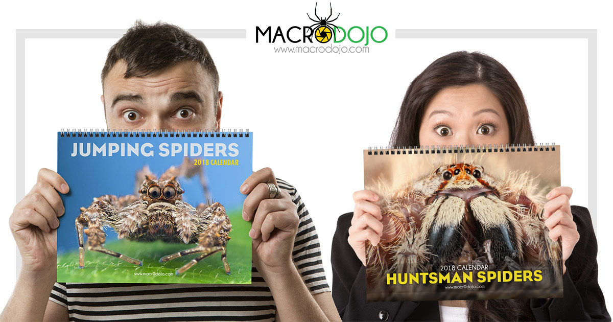 Epic 2018 Spider Calendars