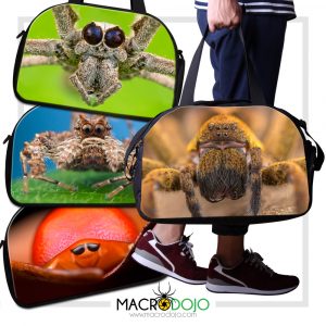 Travel Gym Bag - Assorted Invertebrates