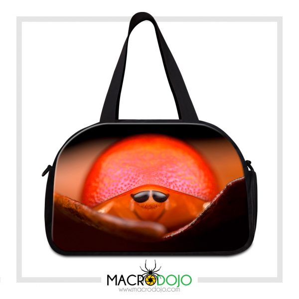 Travel Gym Bag - Assorted Invertebrates - Image 10