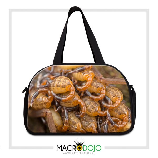 Travel Gym Bag - Assorted Invertebrates - Image 13