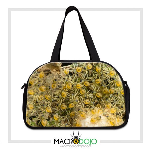 Travel Gym Bag - Assorted Invertebrates - Image 12