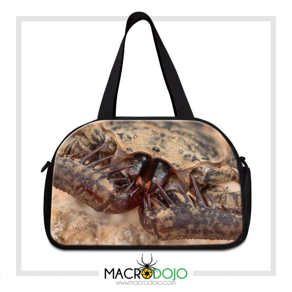 Travel Gym Bag - Assorted Invertebrates - Image 11