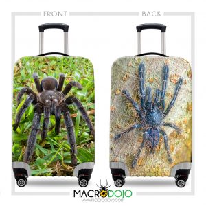 Luggage Cover Protector - Tarantula 2