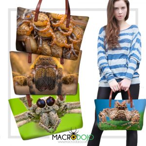 Tote Handbag for Ladies - Assorted Invertebrates