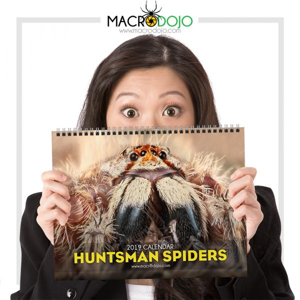 2019 Calendar - Huntsman Spiders