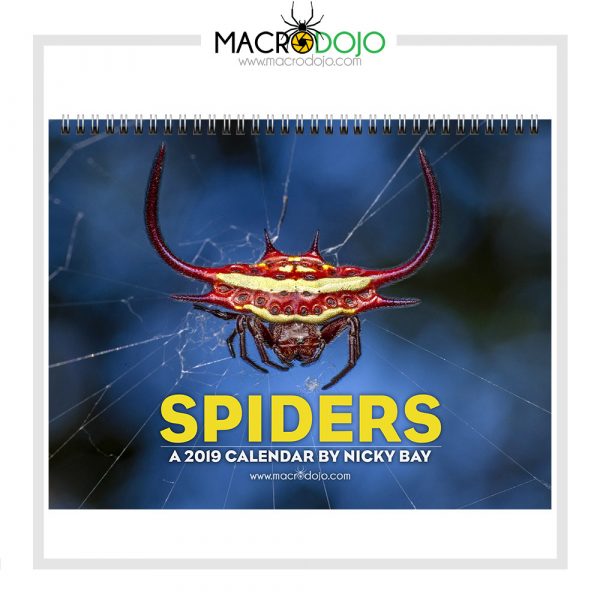 Spiders - A 2019 Calendar by Nicky Bay - Image 3