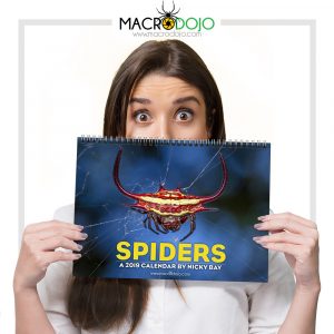 Spiders - A 2019 Calendar by Nicky Bay